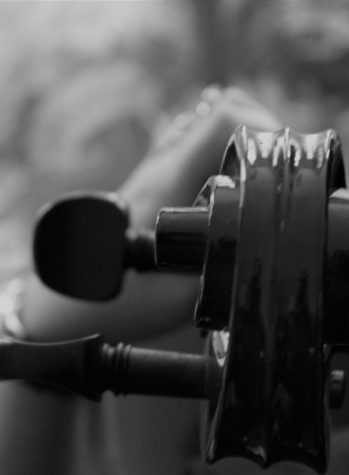 cropped-cello.jpg