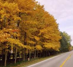 fall little mountain 3