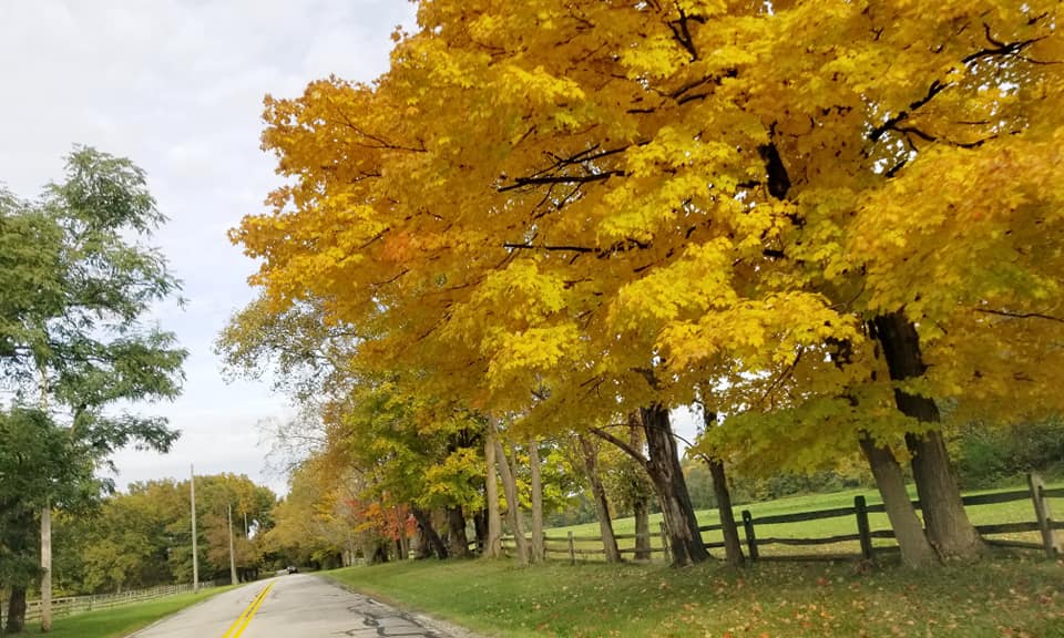 fall little mountain