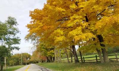 fall little mountain