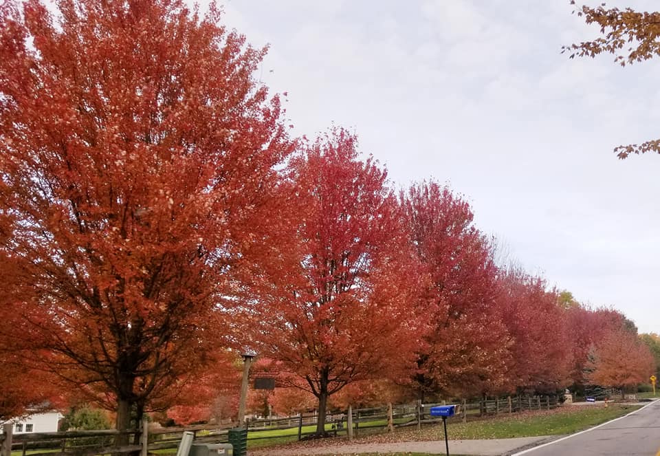 fall red little mountain